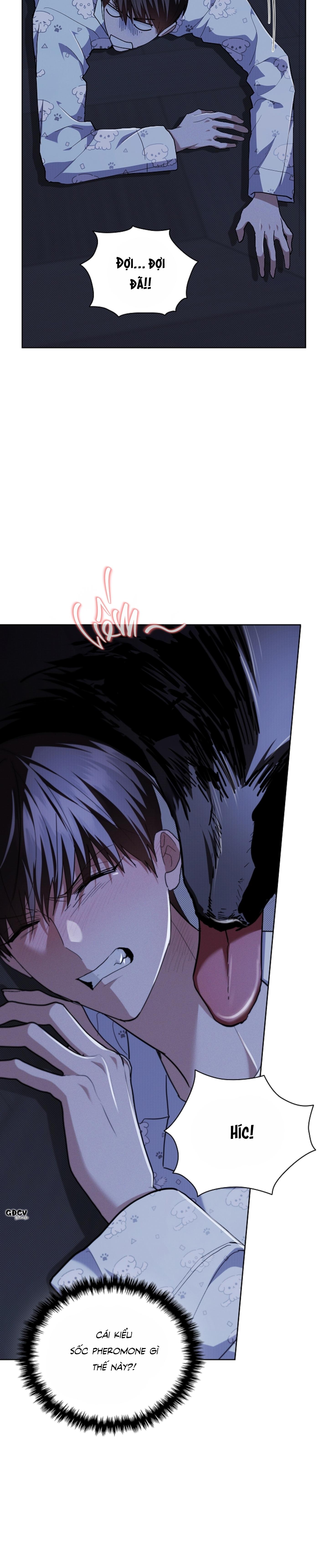 Đọc truyện ĐỪNG CHẠM VÀO CÚN CON CỦA TÔI - Chapter 19