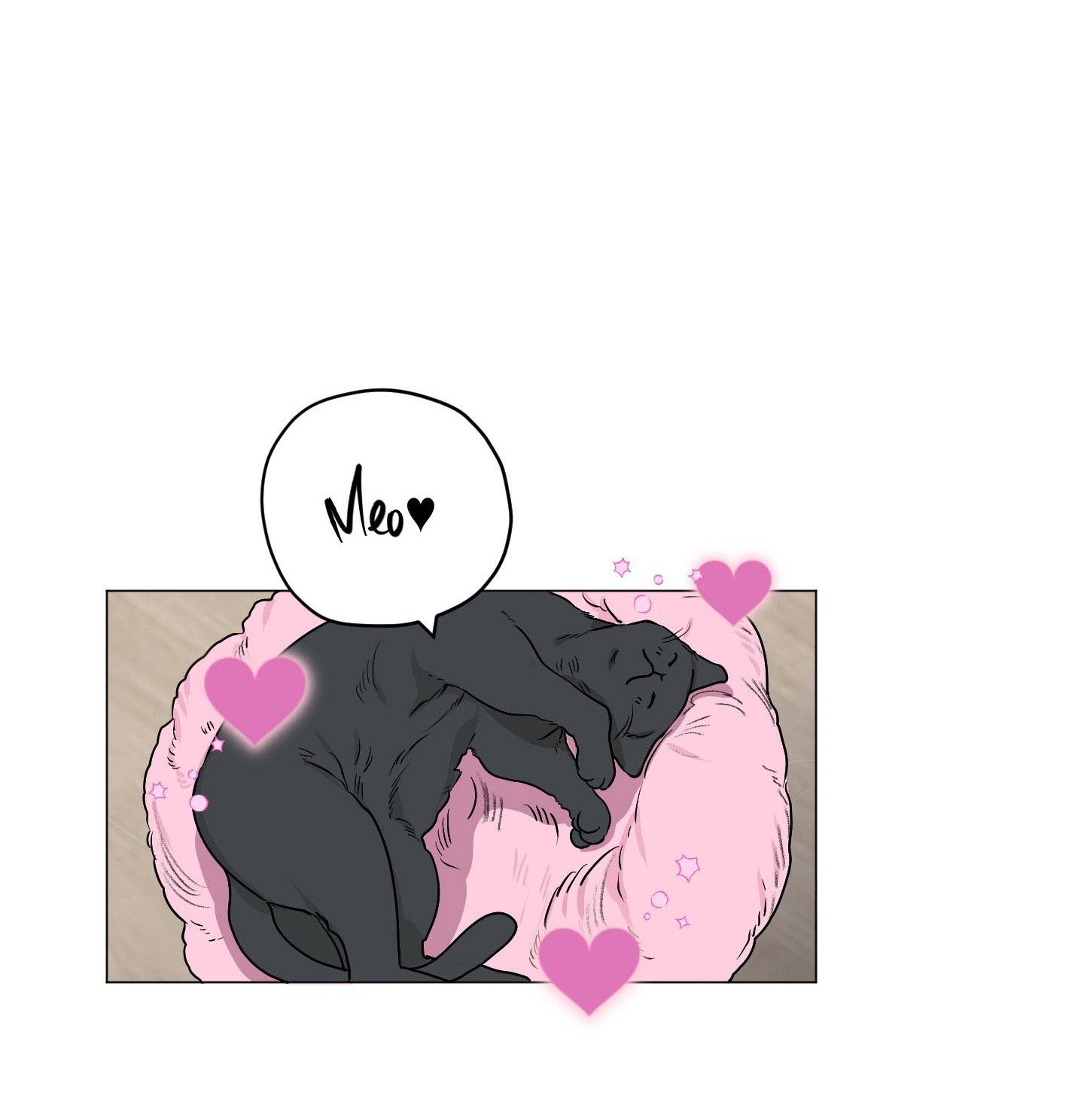 Đọc truyện  Đầm Sen Héo Úa - Chapter 3