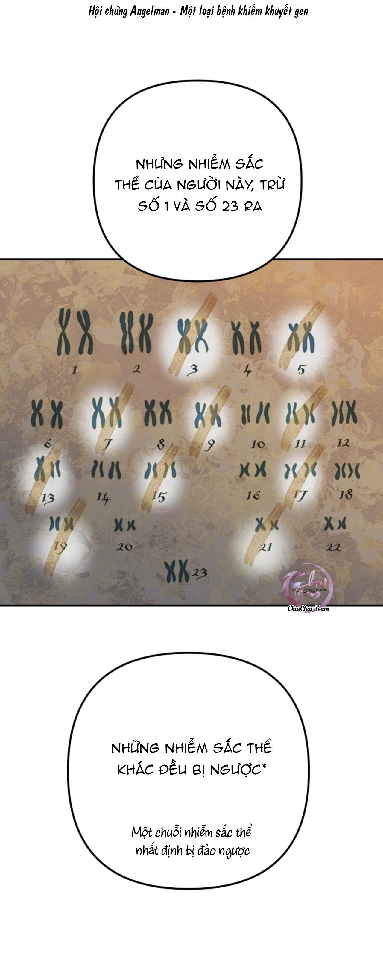 Đọc truyện Bao Nuôi Tiền Bối - Chapter 78