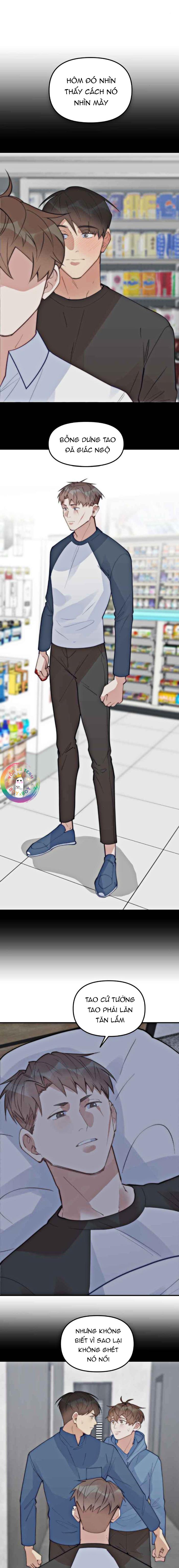 Đọc truyện (END) Đàn Anh Sói Ca Cùng Phòng Của Tôi - Chapter 66