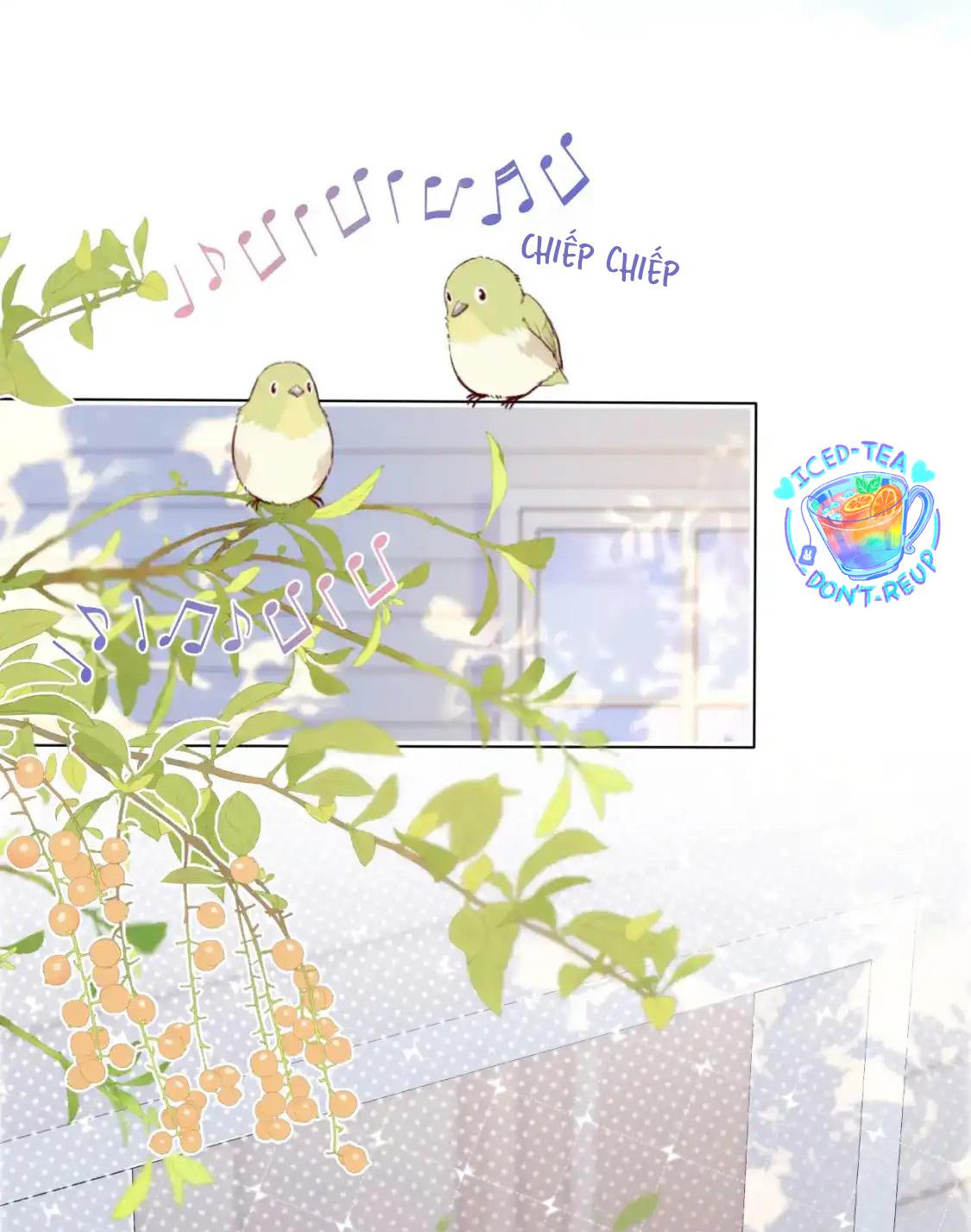Đọc truyện Ss2 Một ngụm ăn cả thỏ con - Chapter 44