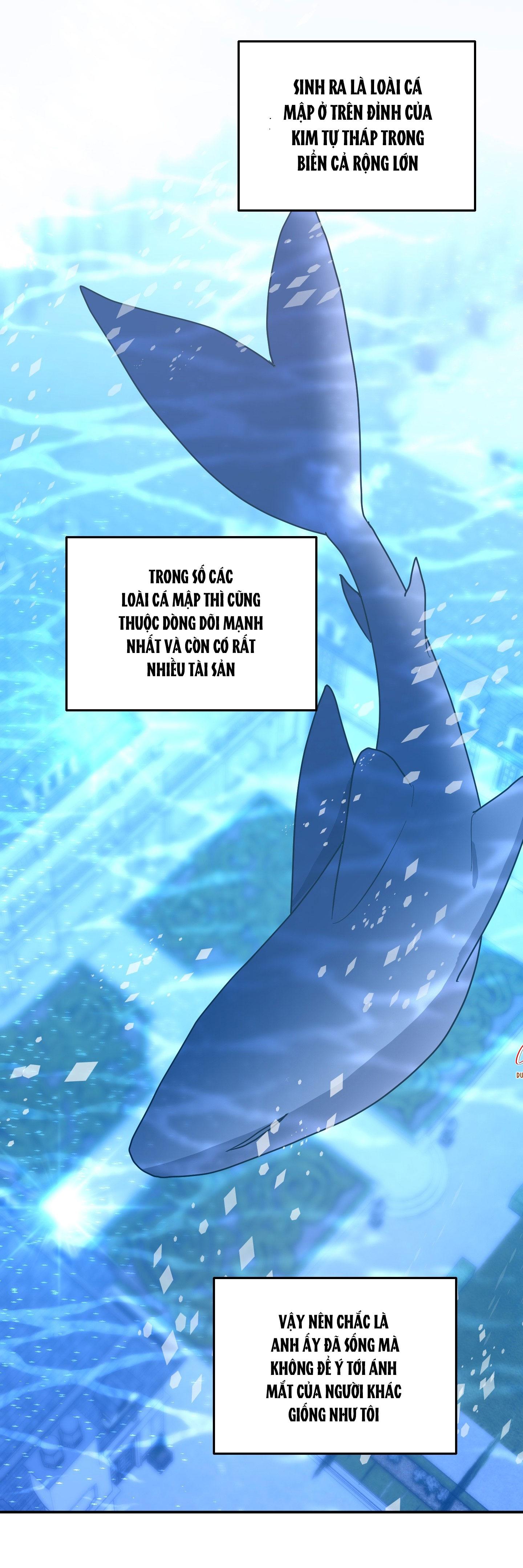 Đọc truyện CÁ MẬP VÀ CÔ DÂU THỎ - Chapter 45