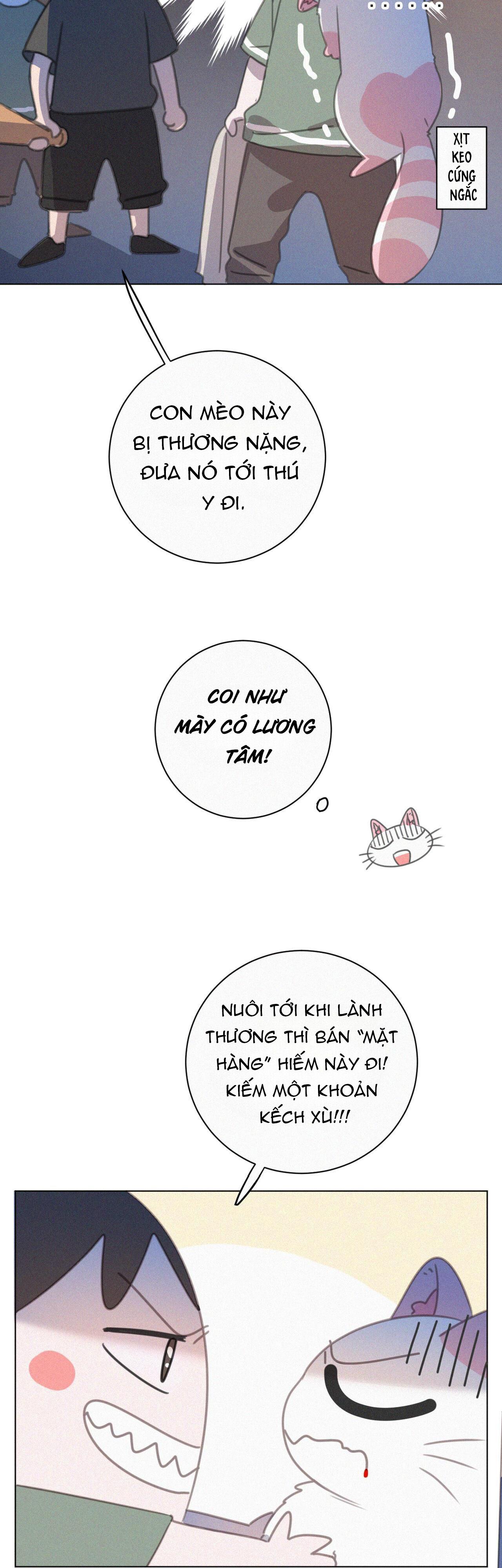 Đọc truyện Xã Hội Mồn Lèo - Chapter 39.1