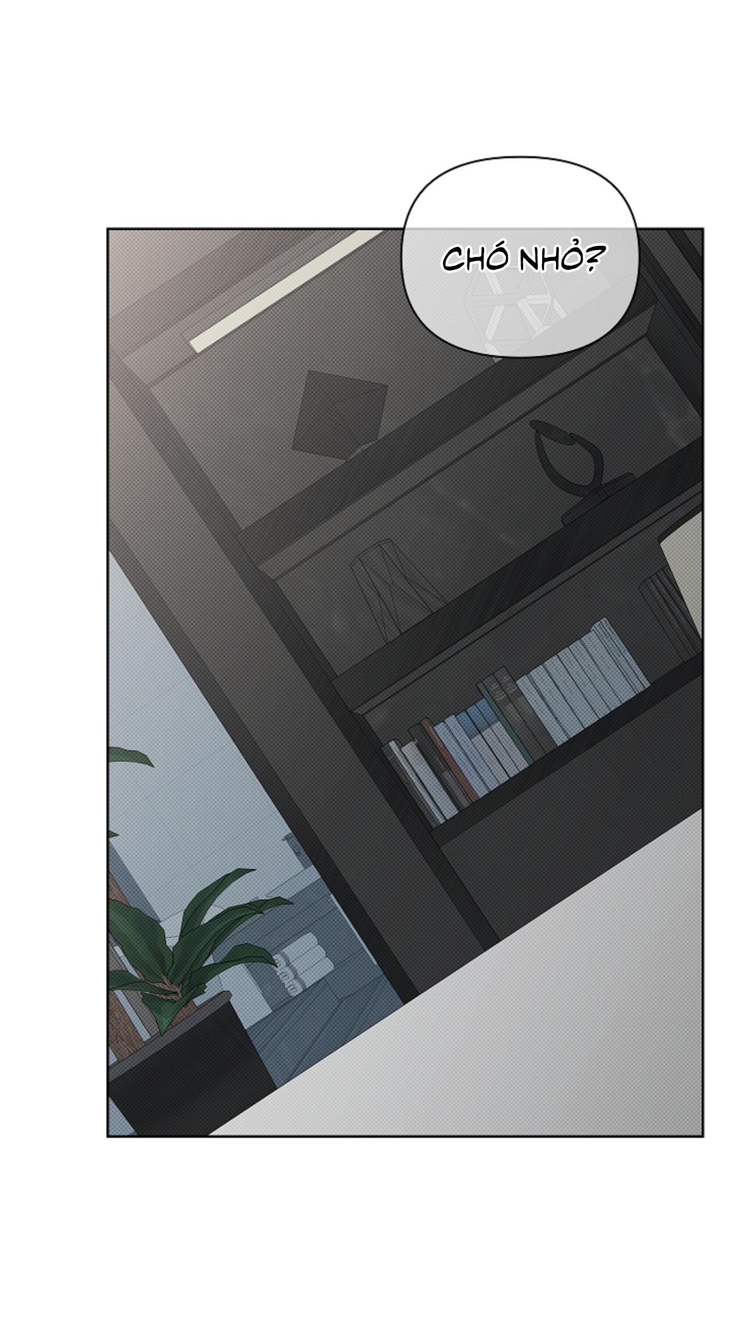 Đọc truyện ĐỪNG ĐỘNG VÀO CÚN CON! - Chapter 14