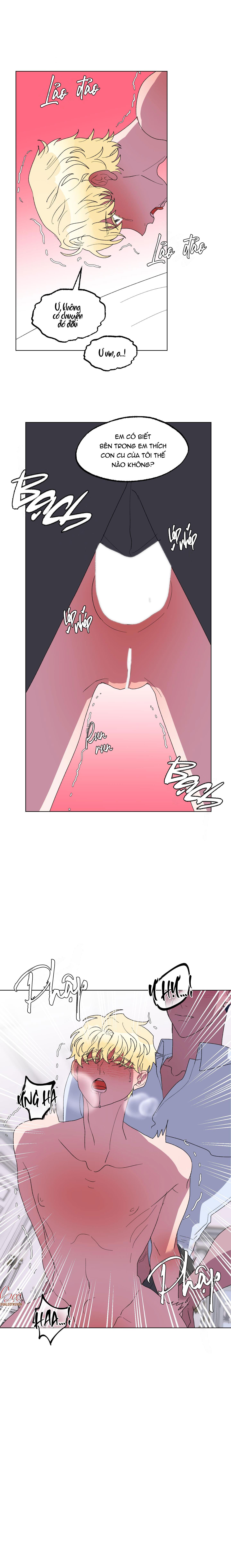 Đọc truyện CÁ MẬP VÀ CÔ DÂU THỎ - Chapter 16