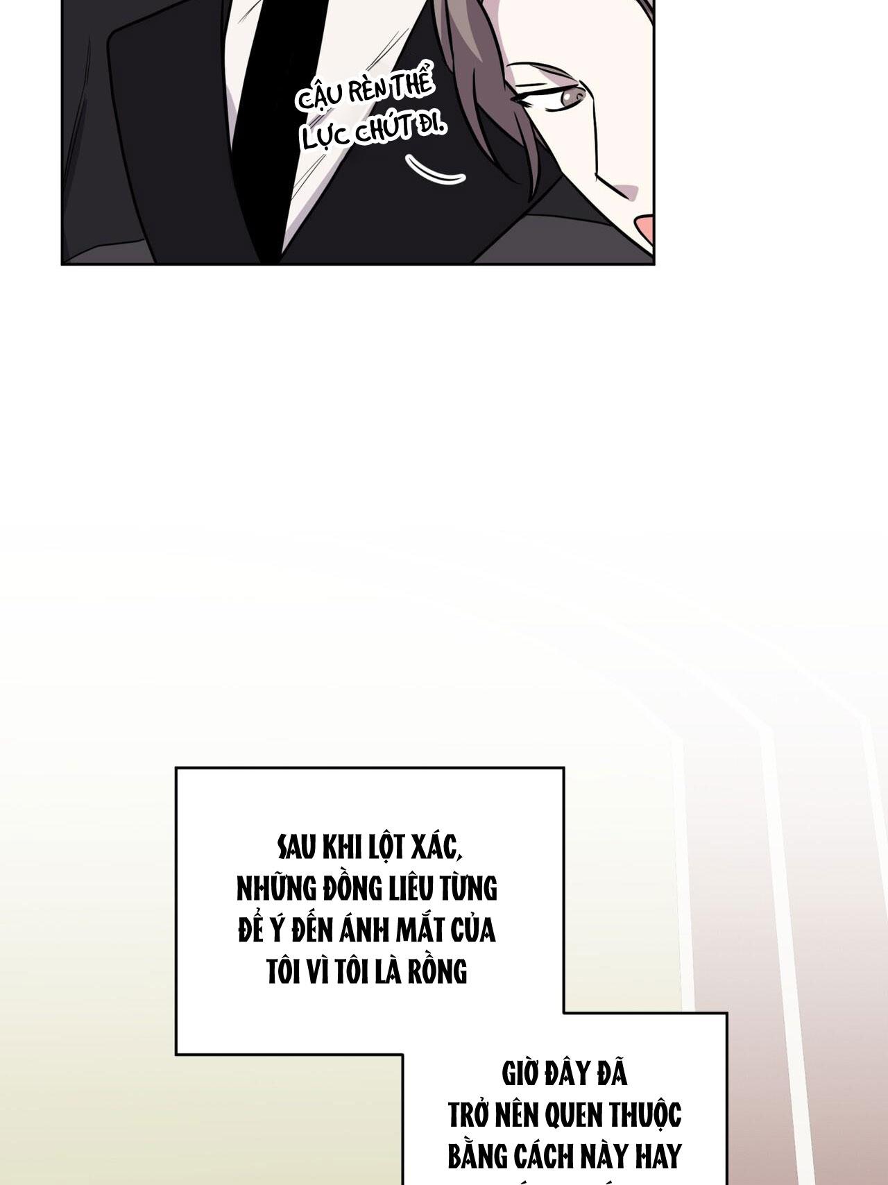 Đọc truyện Rừng Biển - Chapter 58