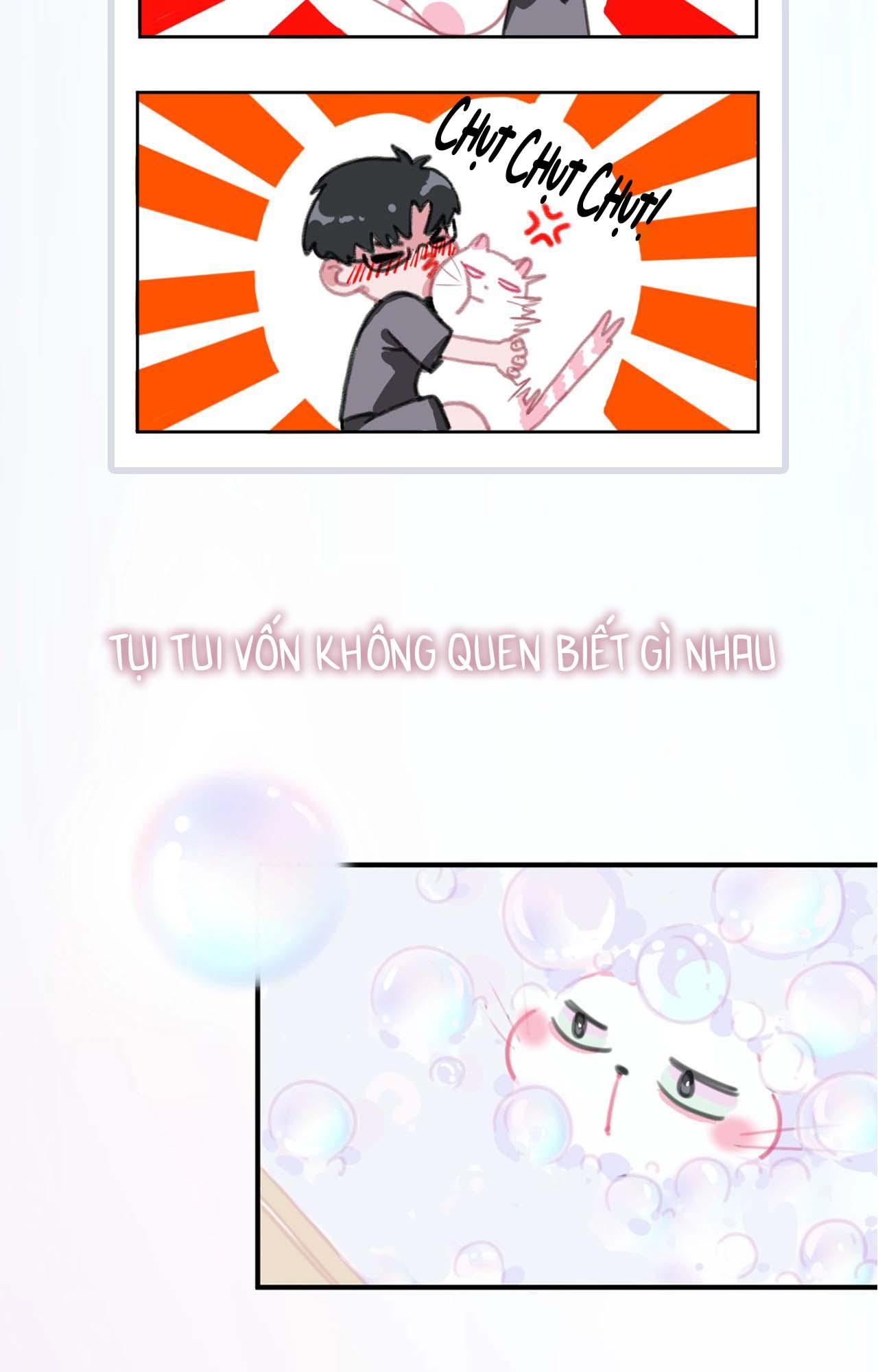 Đọc truyện Xã Hội Mồn Lèo - Chapter 40