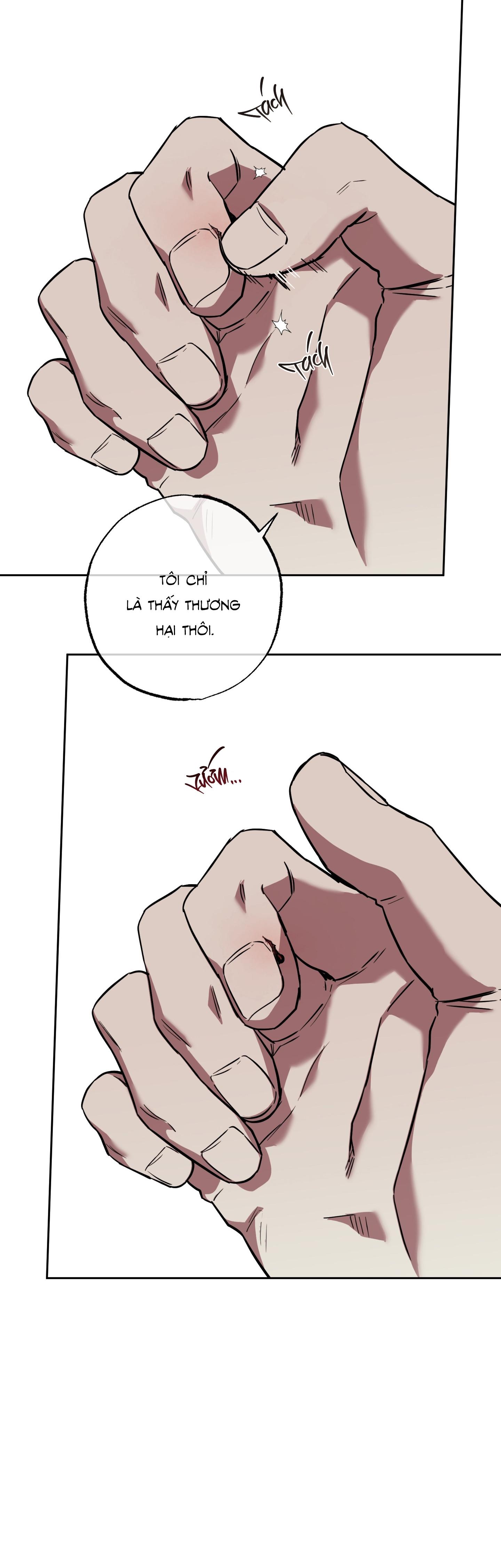 Đọc truyện MẬT NGỌT CHẾT RUỒI - Chapter 11