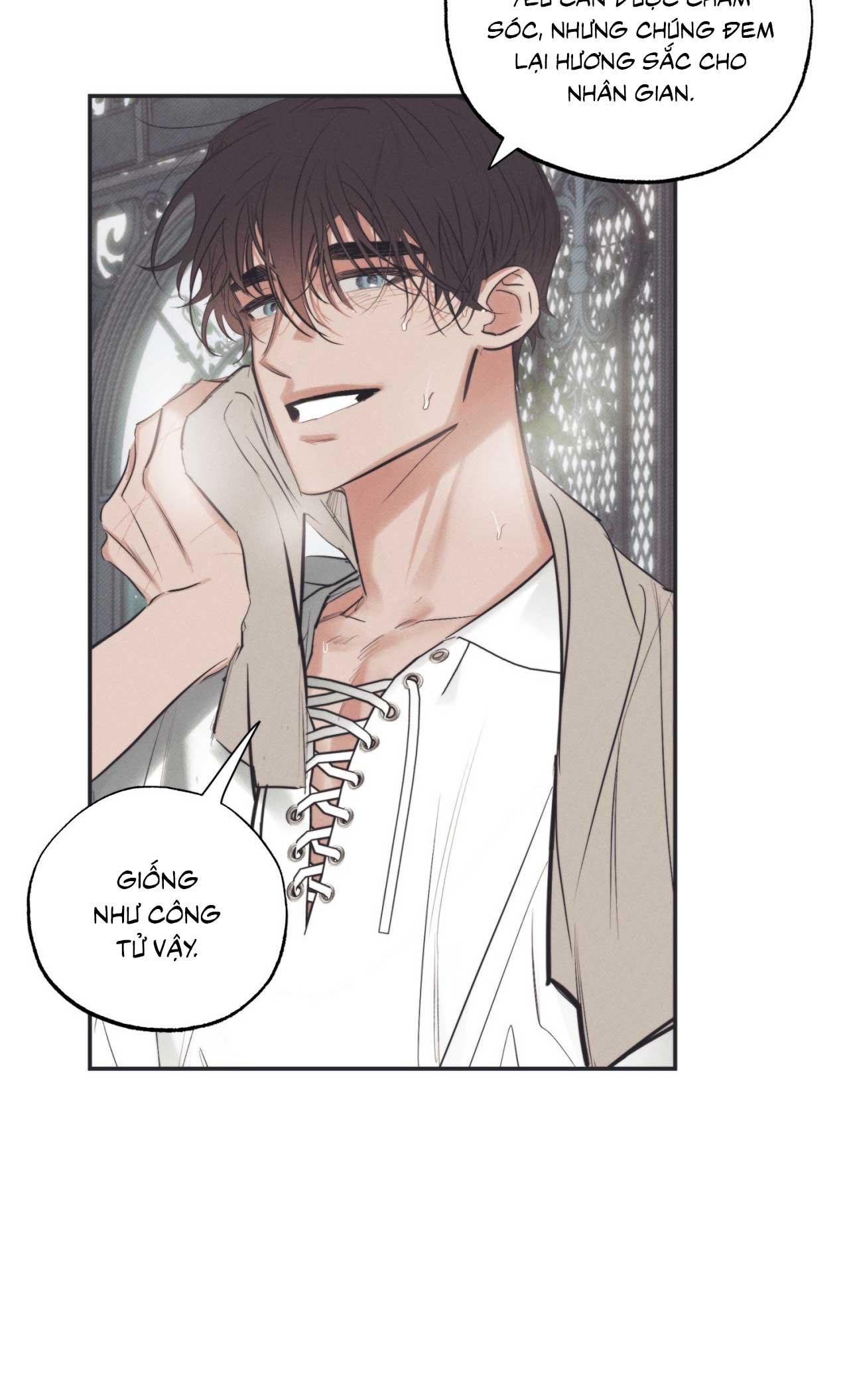 Đọc truyện KHU VƯỜN CỦA ESTHER - Chapter 1