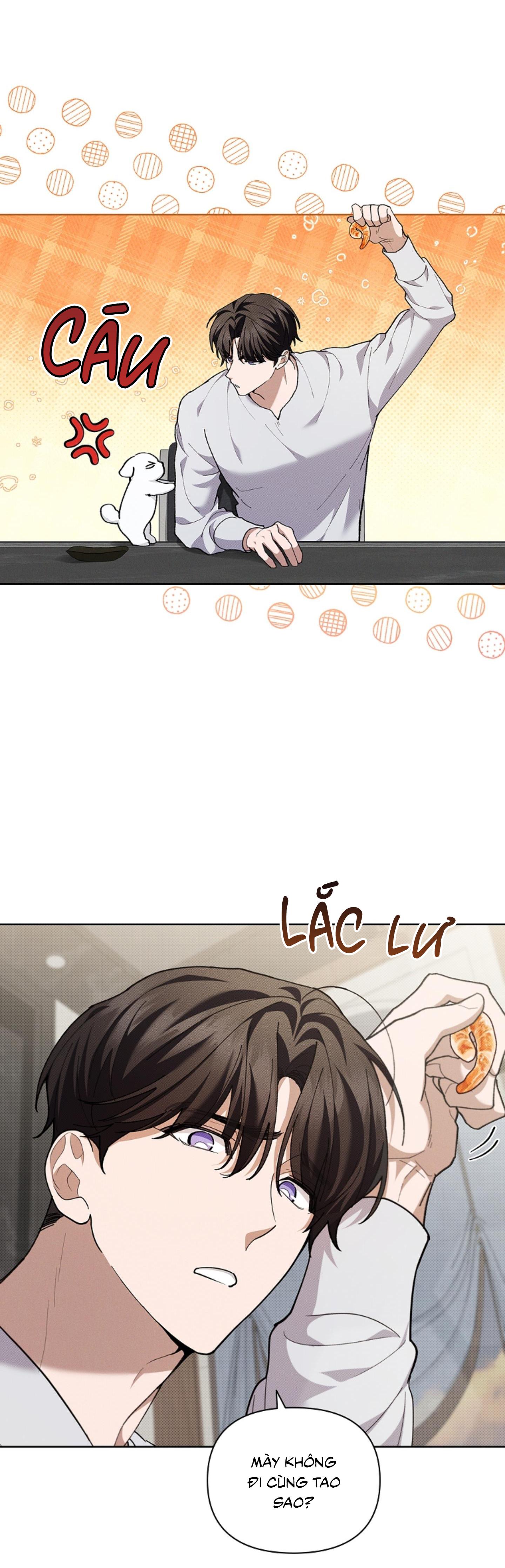 Đọc truyện ĐỪNG ĐỘNG VÀO CÚN CON! - Chapter 10