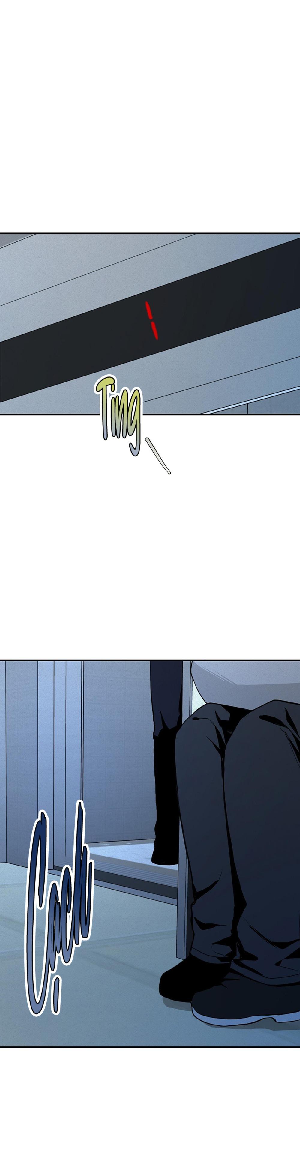 Đọc truyện Hình Chiếu - Chapter 3