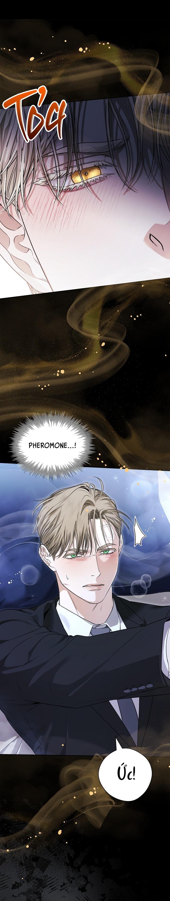 Đọc truyện (ABO) KISS ME IF YOU CAN - Chapter 12