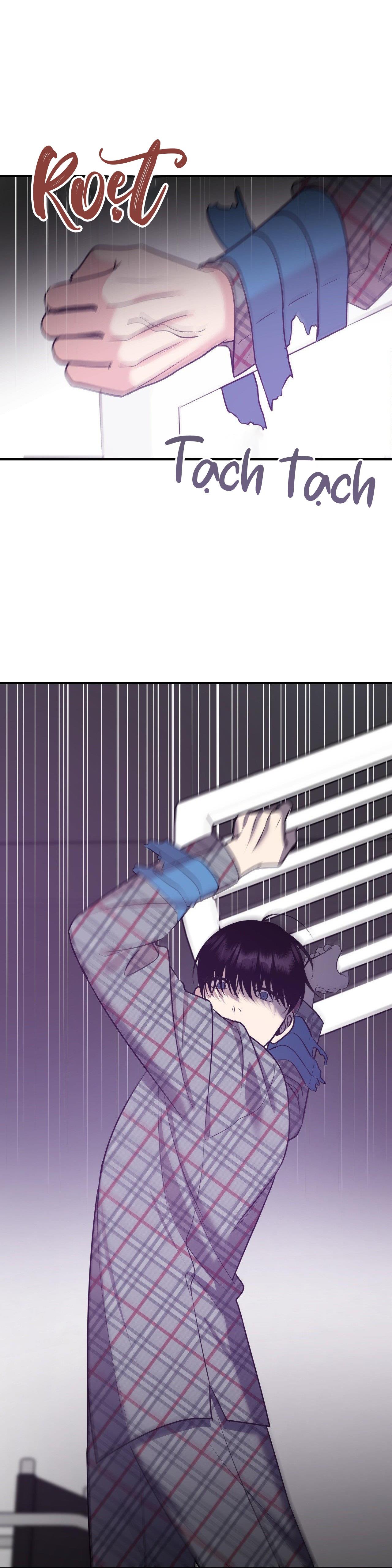 Đọc truyện ĐIỀU 260 BỘ LUẬT HÌNH SỰ - Chapter 3