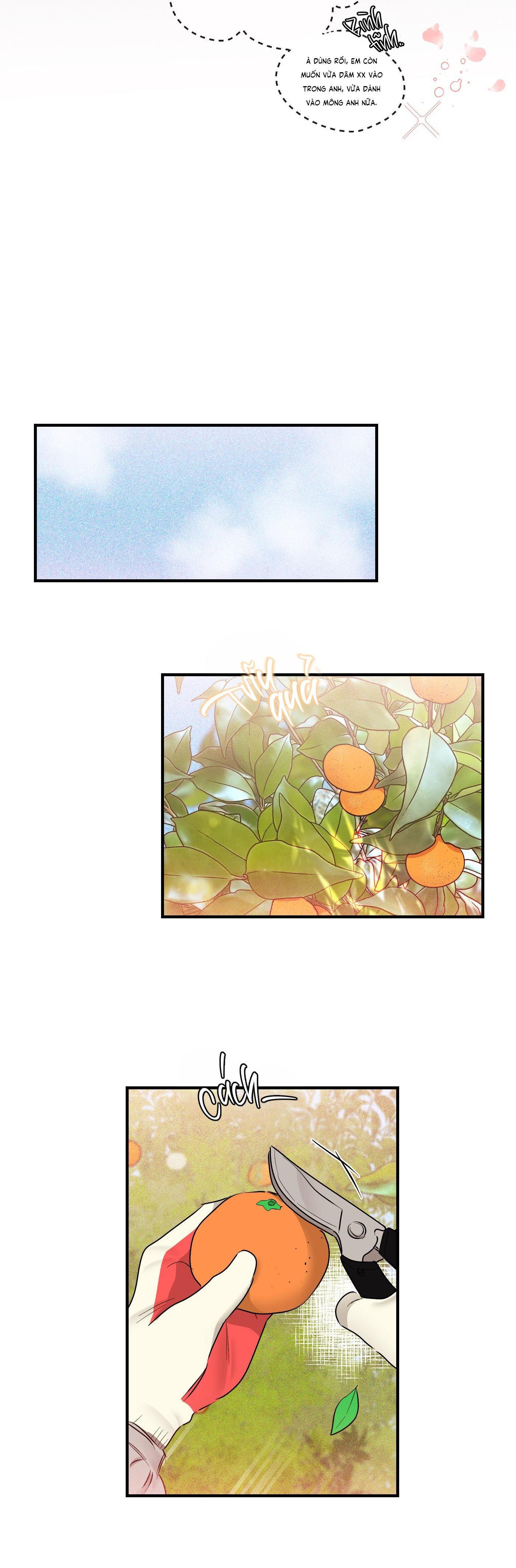 Đọc truyện CÁ MINH THÁI KHÔ QUẮT RỒI! - Chapter 47