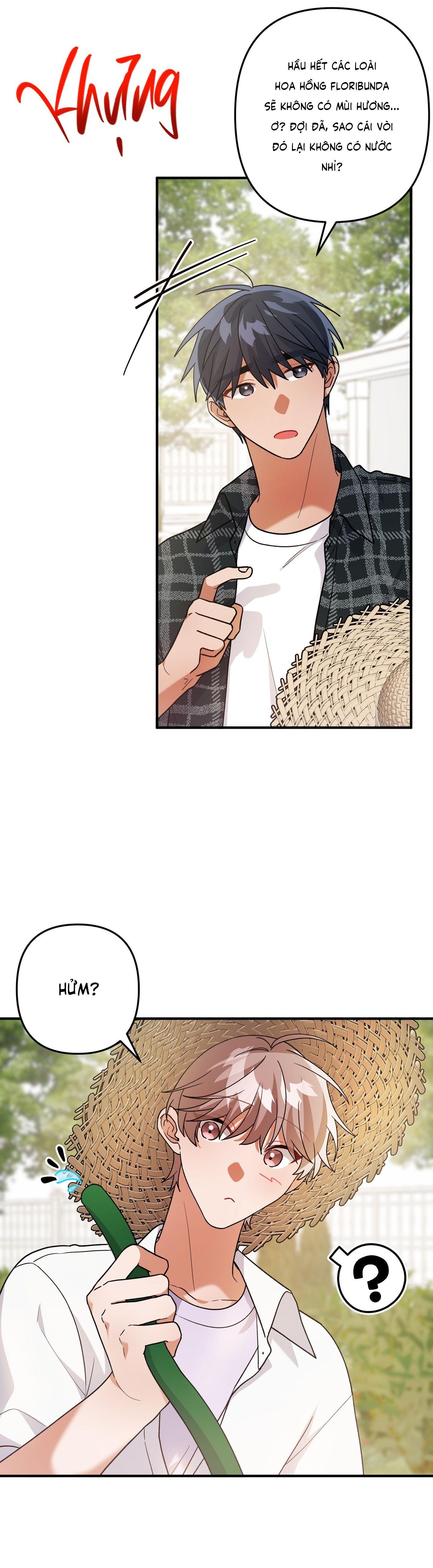 Đọc truyện [DROP] BIỆT THỰ HOA HỒNG CỦA ANH DO DO HOON - Chapter 8