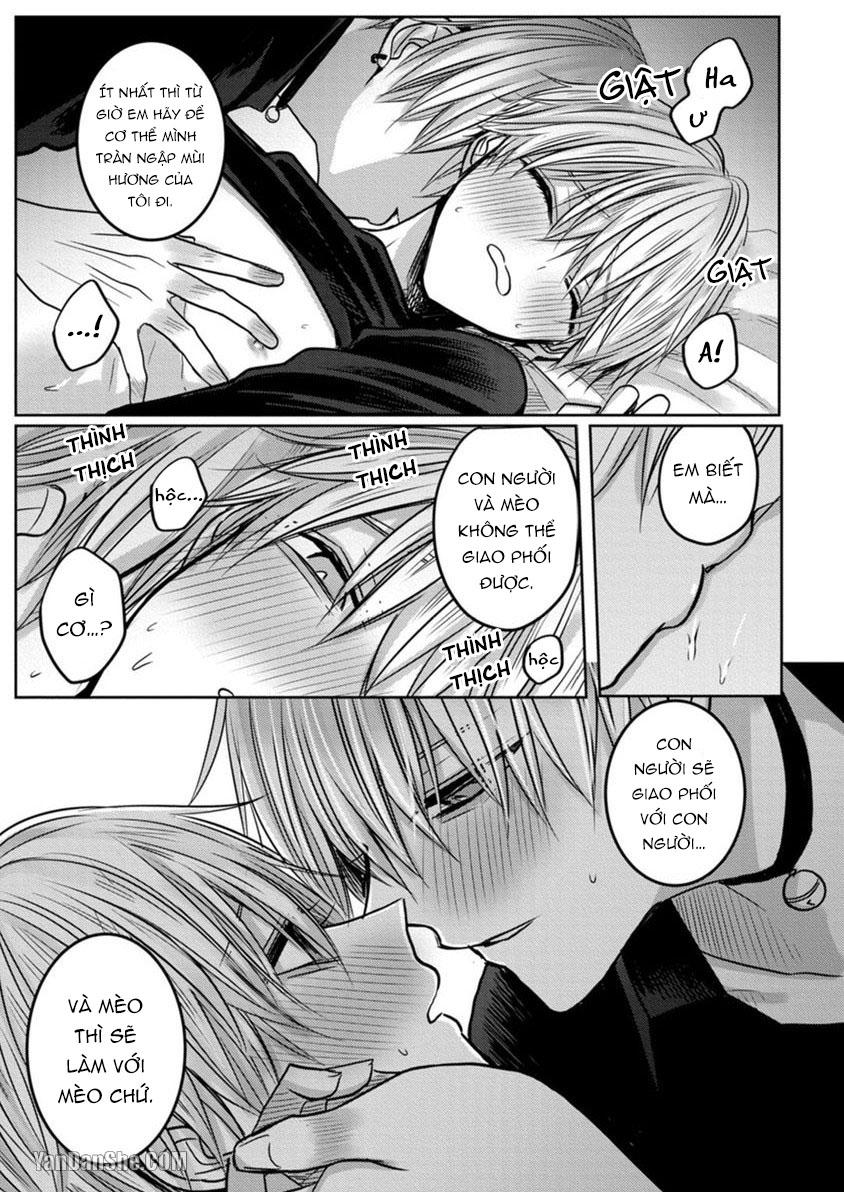 Đọc truyện Hãy đến và chiếm lấy những đêm không ngủ của tôi - Chapter 2