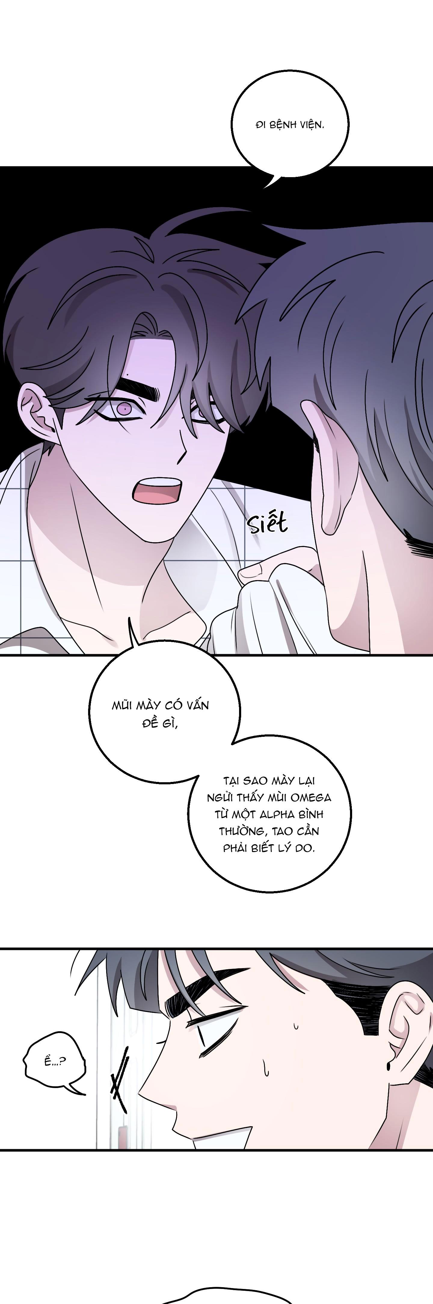 Đọc truyện CHUYỆN TÌNH ALPHA - Chapter 12