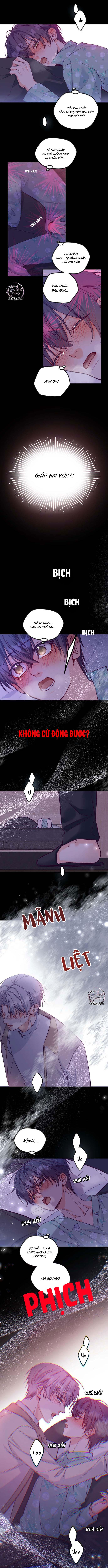 Đọc truyện Người Tình Thế Thân Của Alpha - Chapter 2