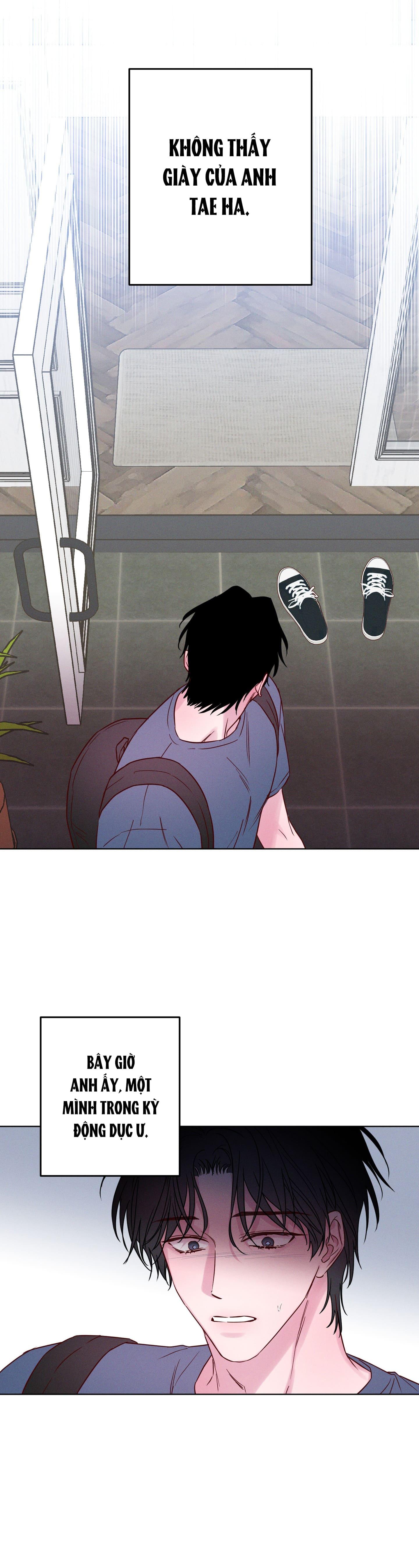 Đọc truyện SÓNG ÔM BỜ CÁT - Chapter 4