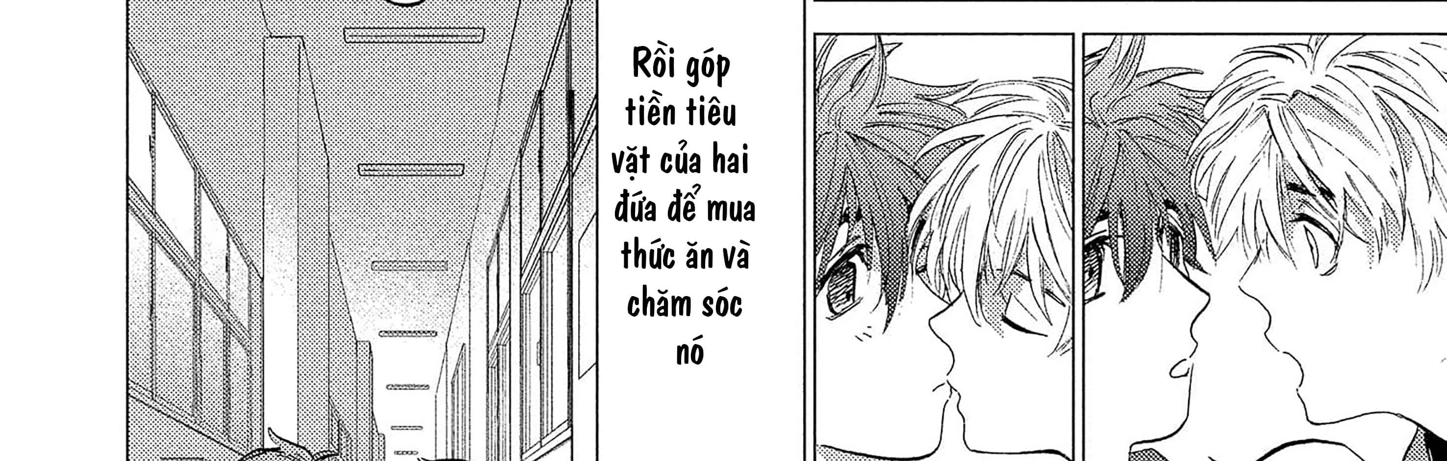 Đọc truyện Sự Thù Hận Không Thể Hóa Giải - Chapter 3