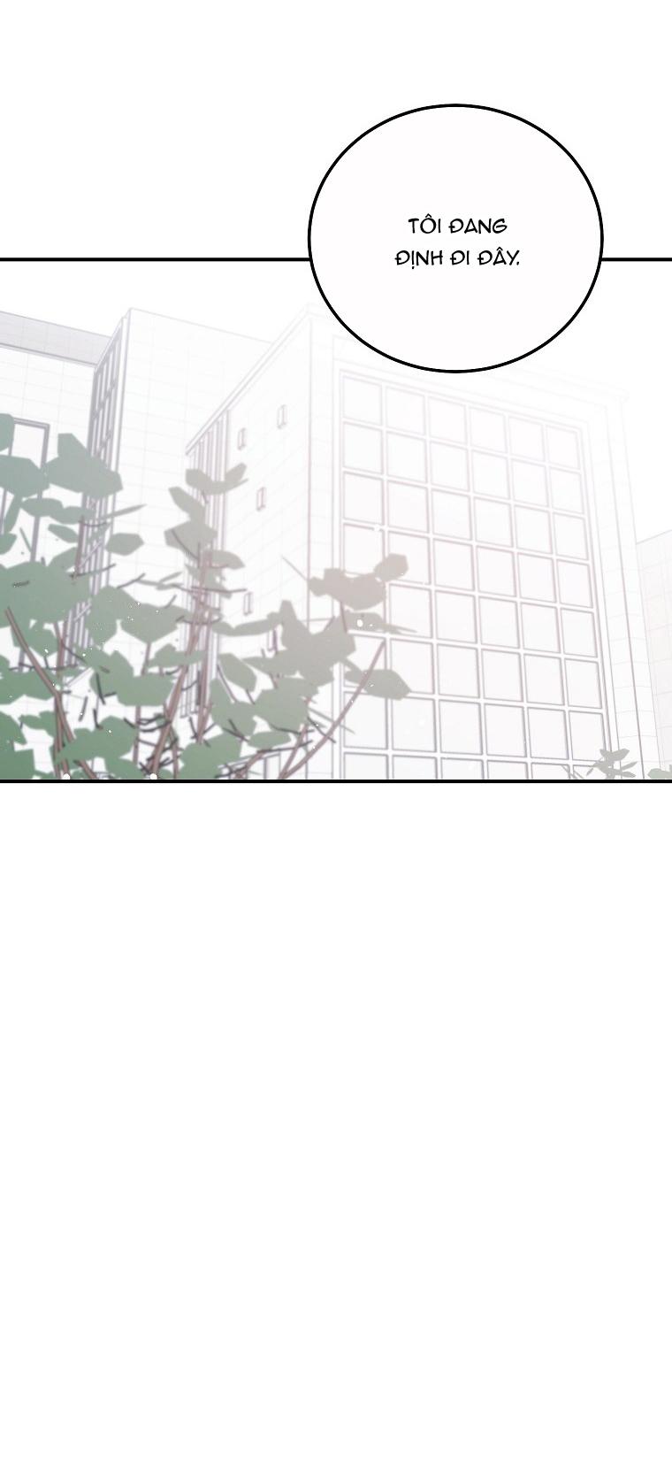 Đọc truyện Có Chuyện Gì Xảy Ra với Sự Nổi Tiếng Của Tôi Thế? - Chapter 52