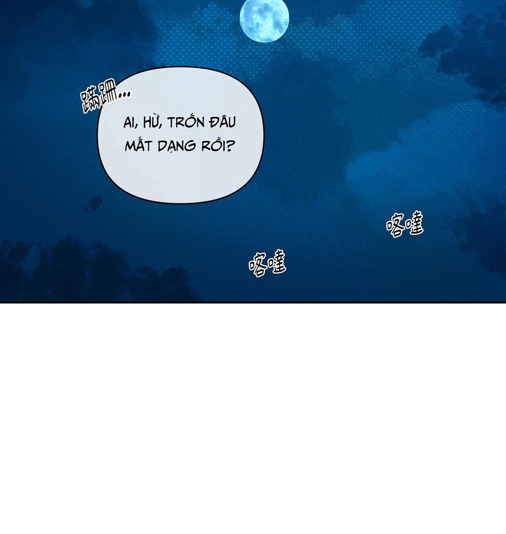Đọc truyện Mũ gạc đen của quỷ - Chapter 1