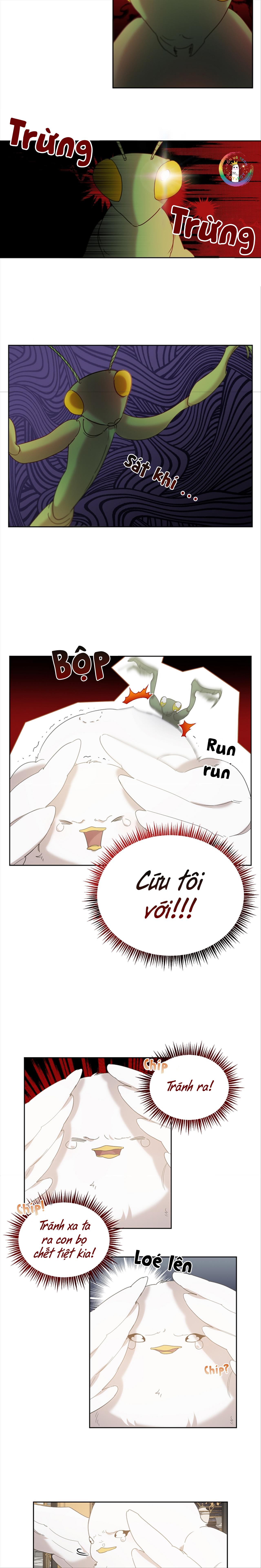 Đọc truyện (END) Này, Đừng Có Nhấn Cái Nút Đó! - Chapter 4