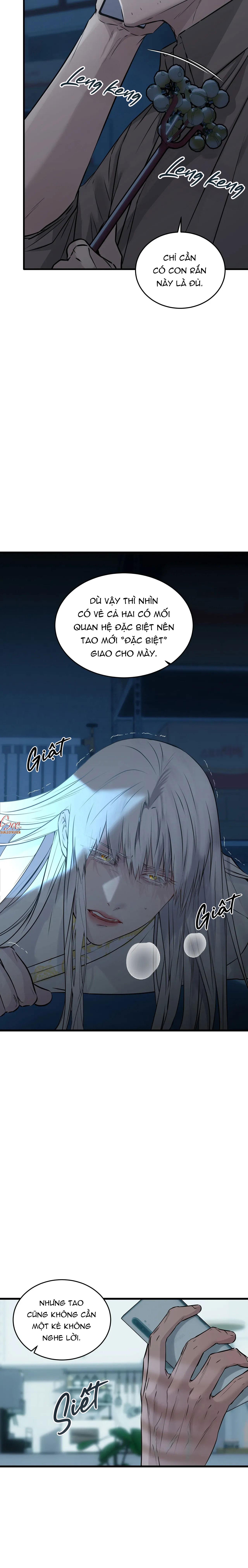 Đọc truyện ÂN NHÂN CỦA RẮN - Chapter 26