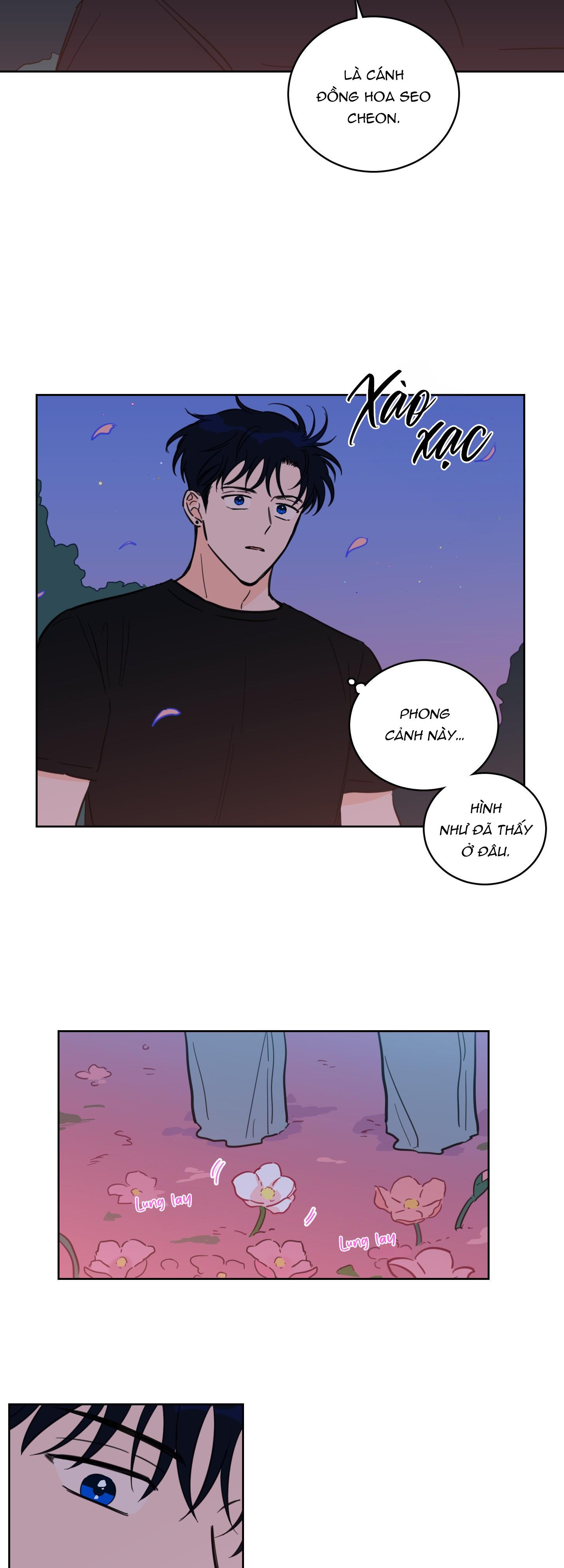 Đọc truyện Mẹo Thuần Hóa Hổ - Chapter 67