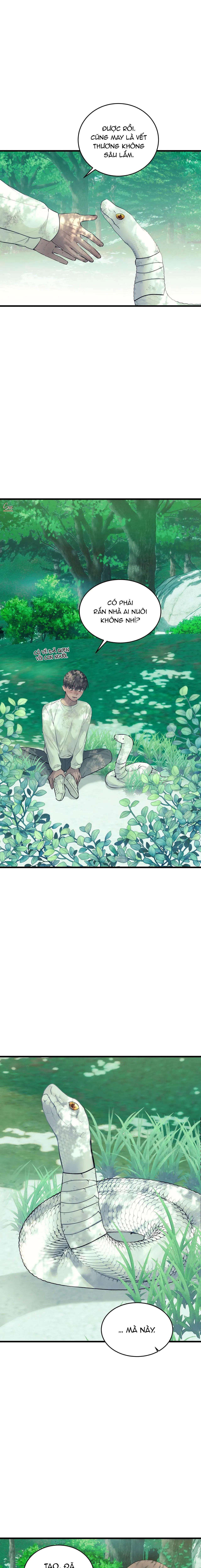 Đọc truyện ÂN NHÂN CỦA RẮN - Chapter 22