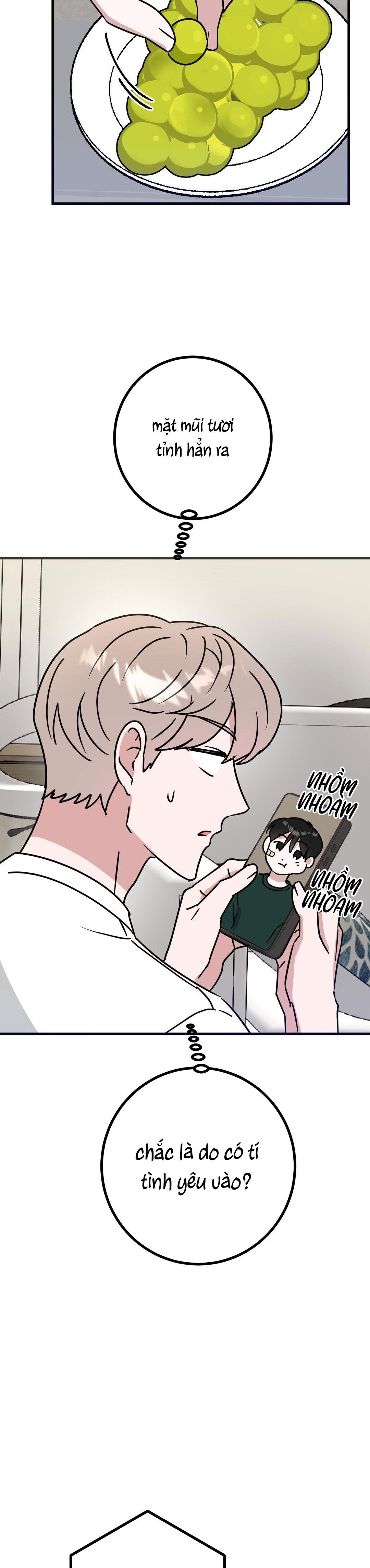 Đọc truyện NHÀ TÔI THÀNH PHIM TRƯỜNG MẤT RỒI - Chapter 37