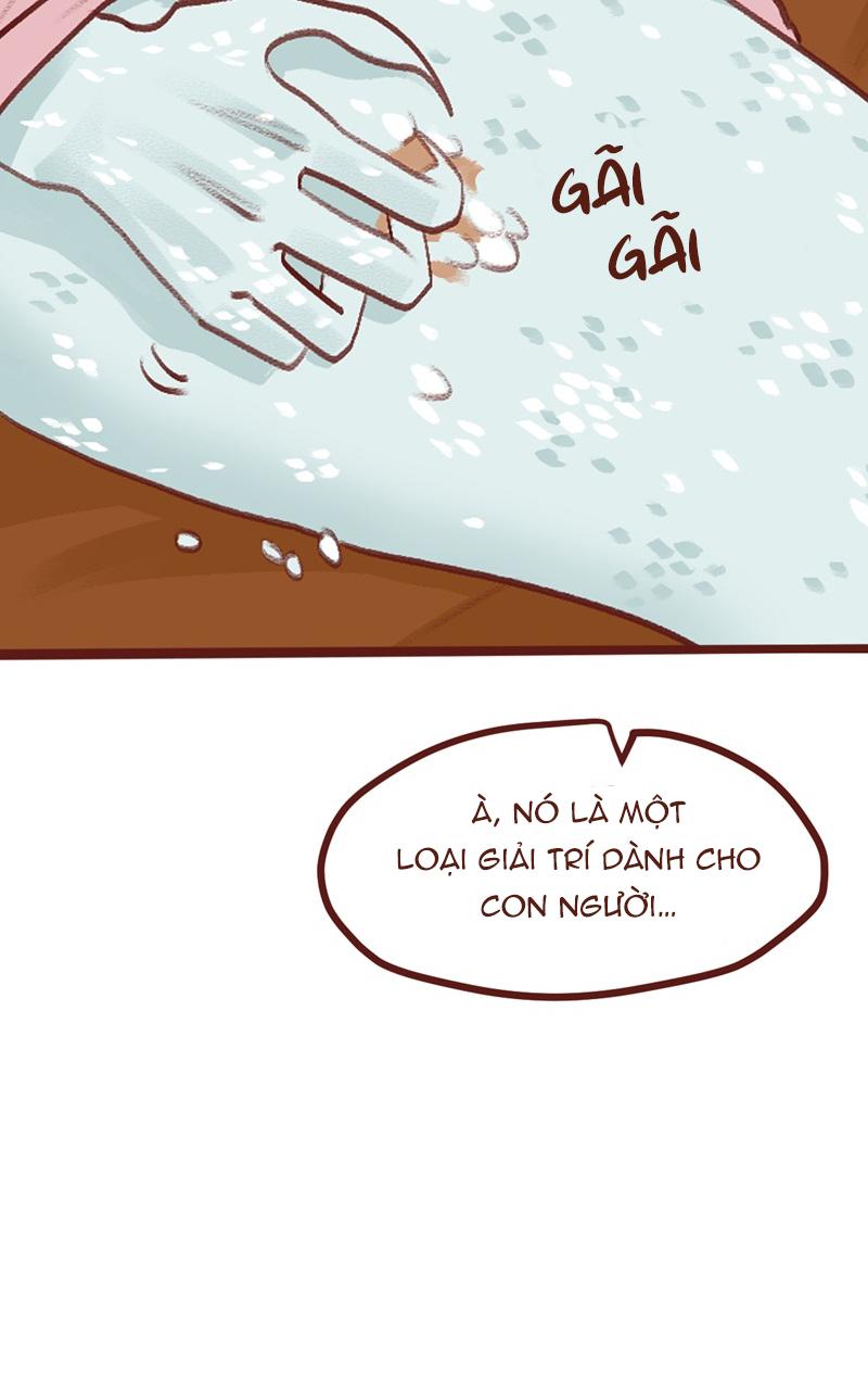 Đọc truyện BAILIN AND LIYUN ( NEW SS ) - Chapter 51