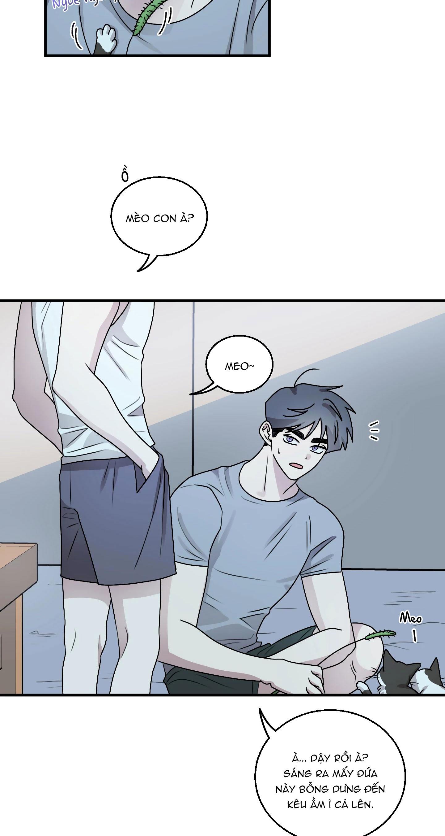 Đọc truyện CHUYỆN TÌNH ALPHA - Chapter 18