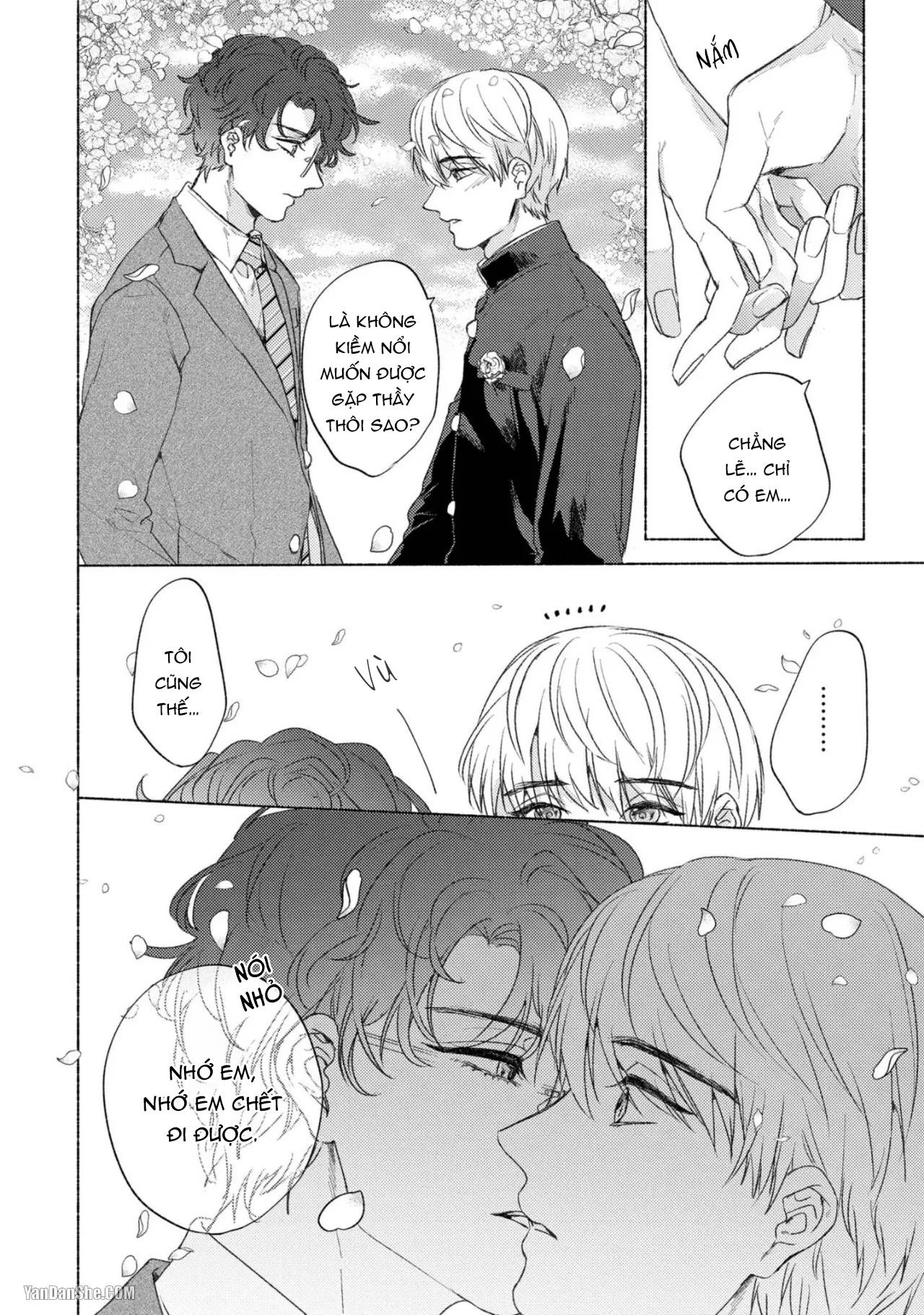 Đọc truyện Thầy à, em không thể chịu đựng được nữa - Chapter 5