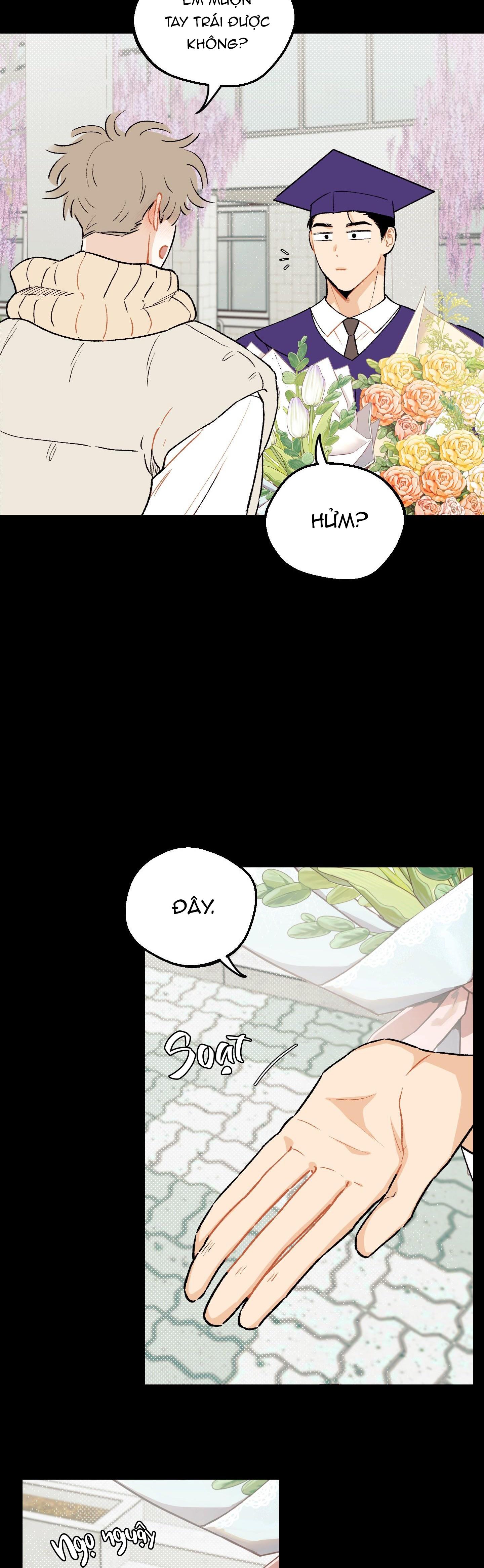 Đọc truyện Tình đơn phương lạc lối - Chapter 5