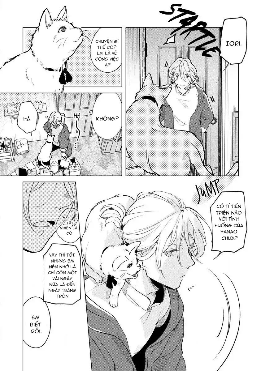 Đọc truyện Kemono no Noroi wa Koi de Hodoku - Chapter 1