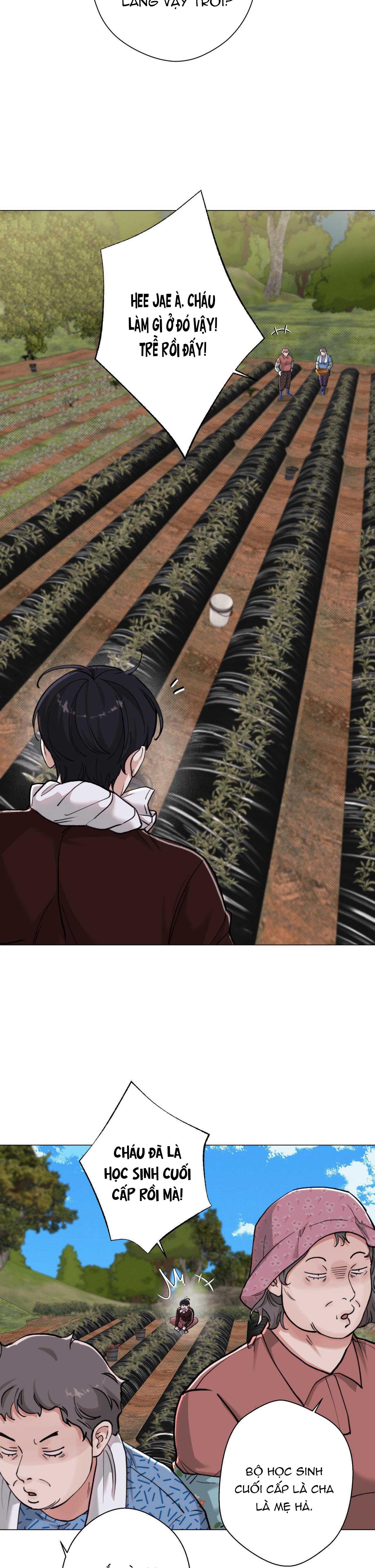 Đọc truyện EM BÉ VÀ ĐẠI CA - Chapter 28