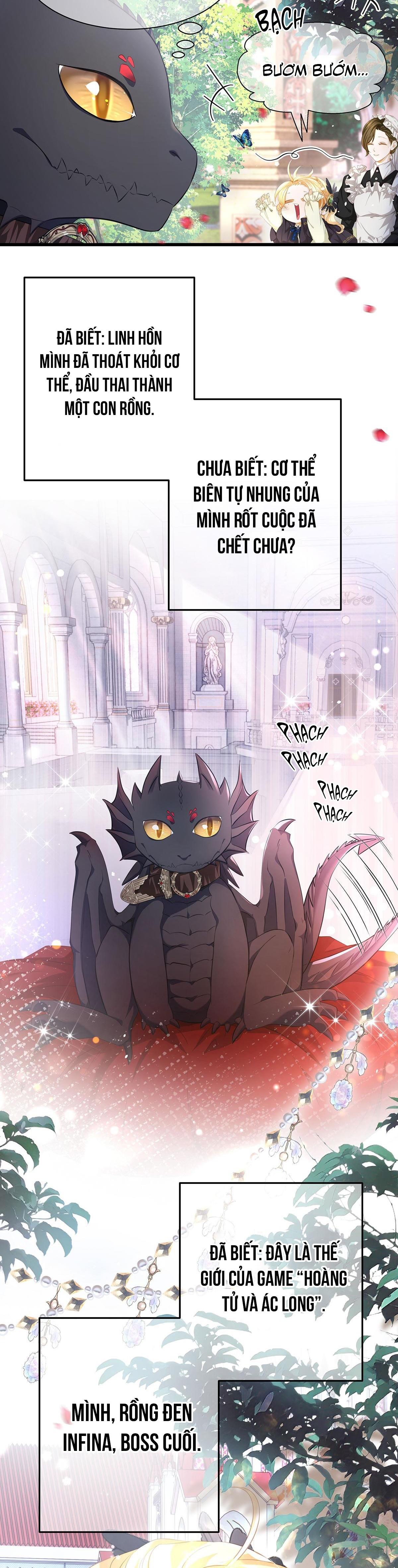 Đọc truyện Tôi trùng sinh thành chú rồng đen của vương tử điện hạ - Chapter 2