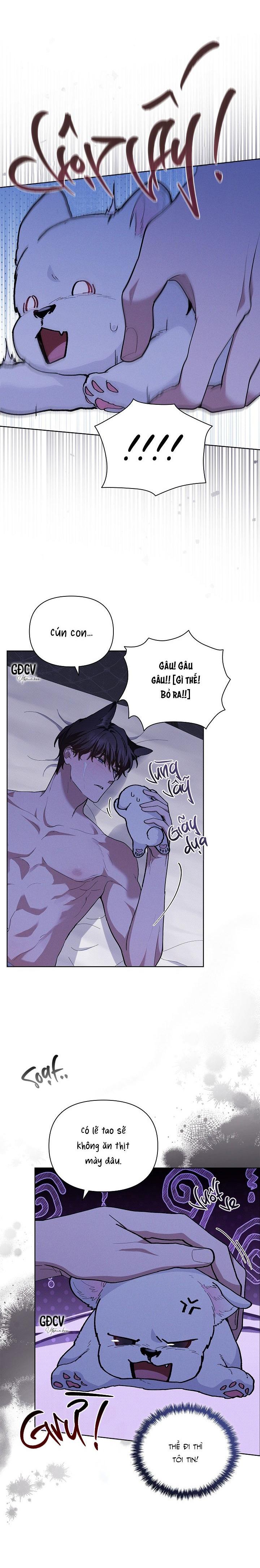 Đọc truyện ĐỪNG CHẠM VÀO CÚN CON CỦA TÔI - Chapter 7