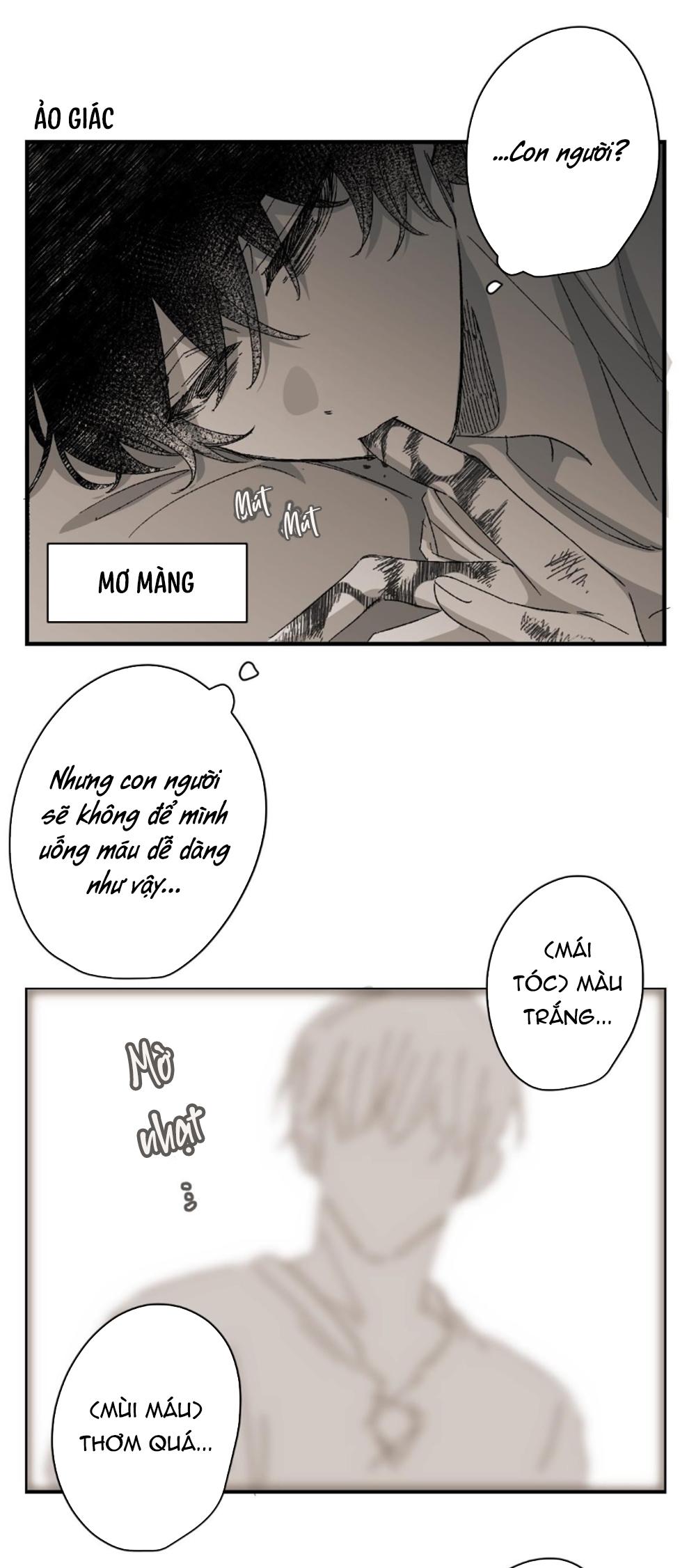 Đọc truyện 16647 - Chapter 13