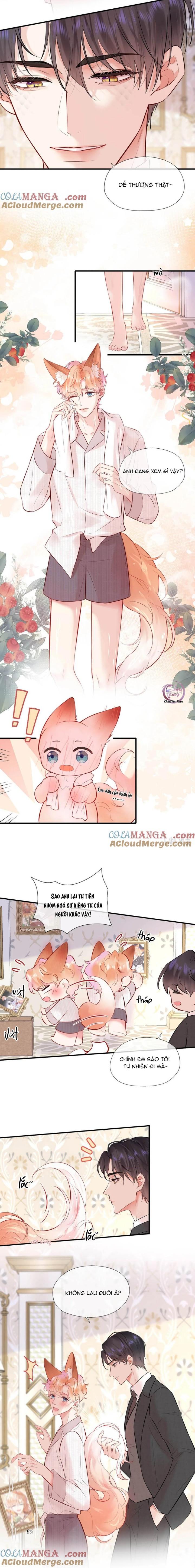 Đọc truyện ĐỐI TƯỢNG CÔNG LƯỢC! THIẾT LẬP TÍNH CÁCH CỦA ANH BỊ MÉO MÓ RỒI! - Chapter 12