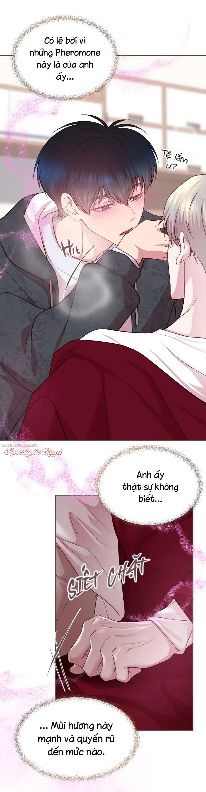 Đọc truyện Bạn Đời Định Mệnh - Chapter 11