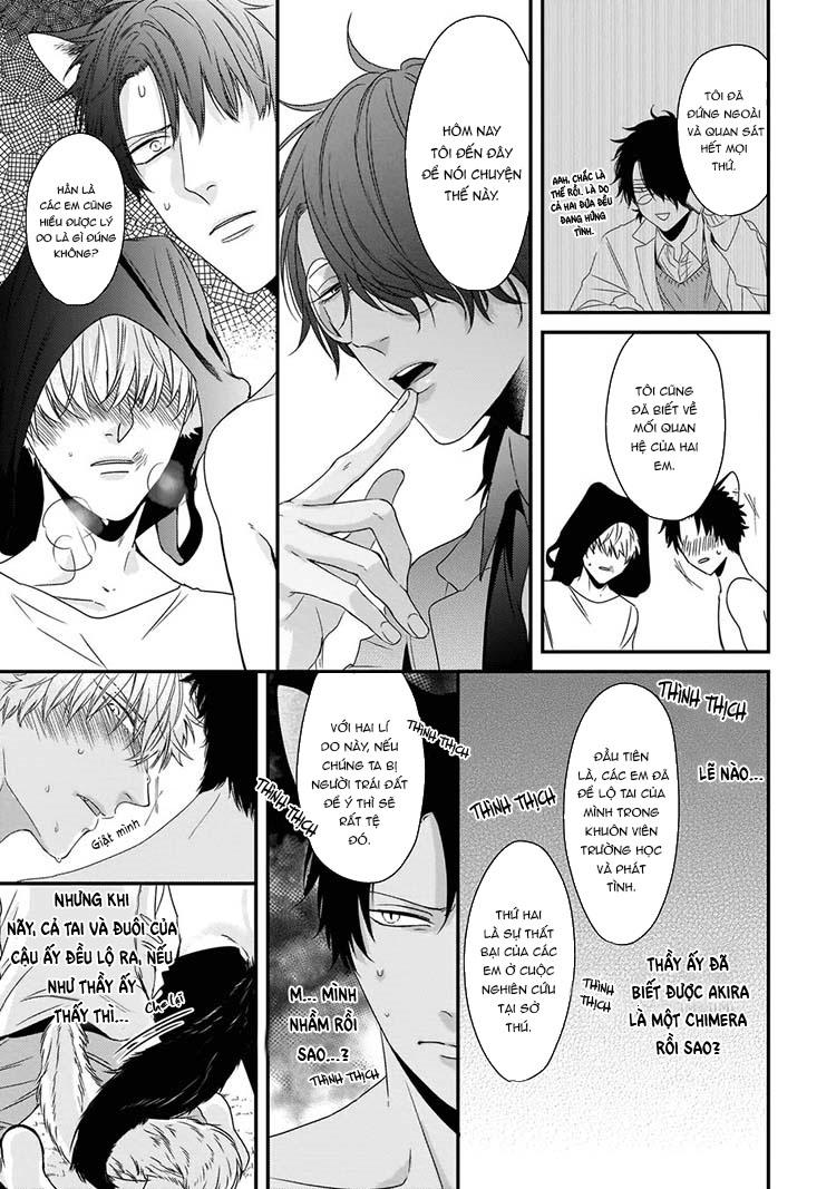 Đọc truyện Kỳ Phát Tình Của Dê và Sói - Chapter 5