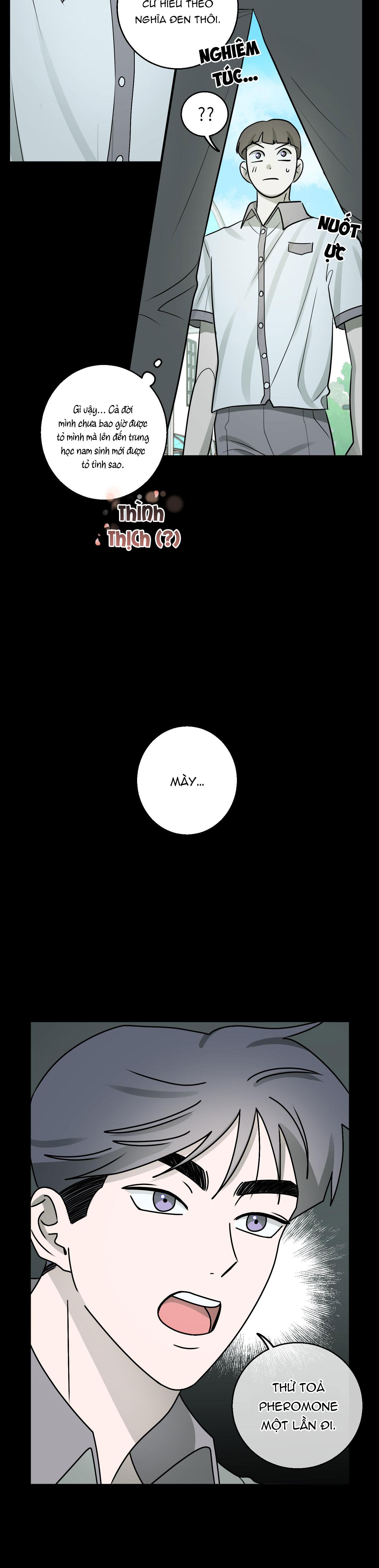 Đọc truyện CHUYỆN TÌNH ALPHA - Chapter 2
