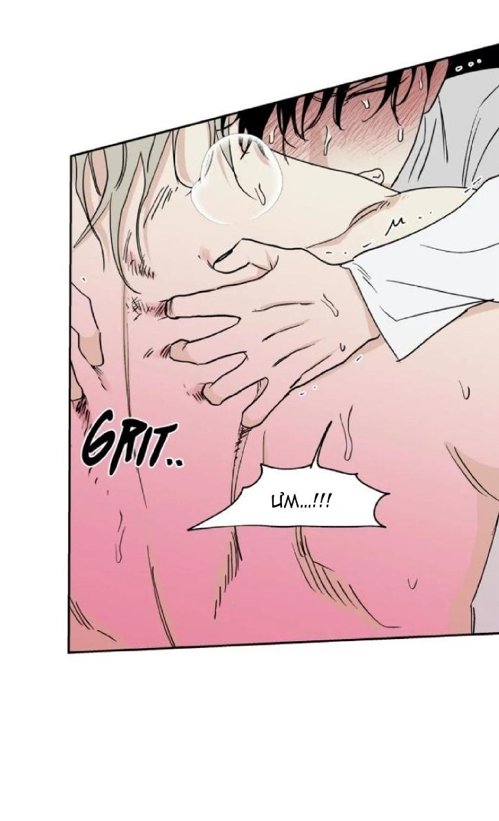 Đọc truyện Thủy triều thấp lúc chạng vạng - Chapter 12