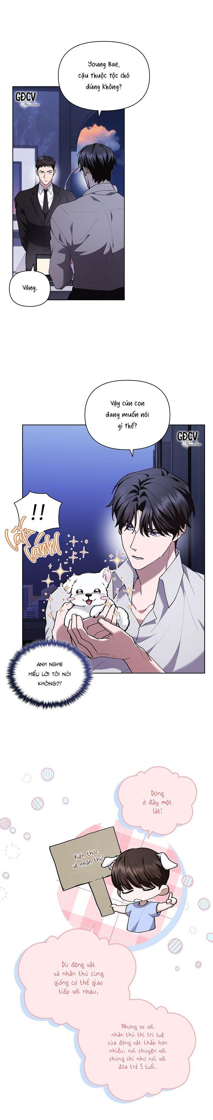 Đọc truyện ĐỪNG CHẠM VÀO CÚN CON CỦA TÔI - Chapter 6