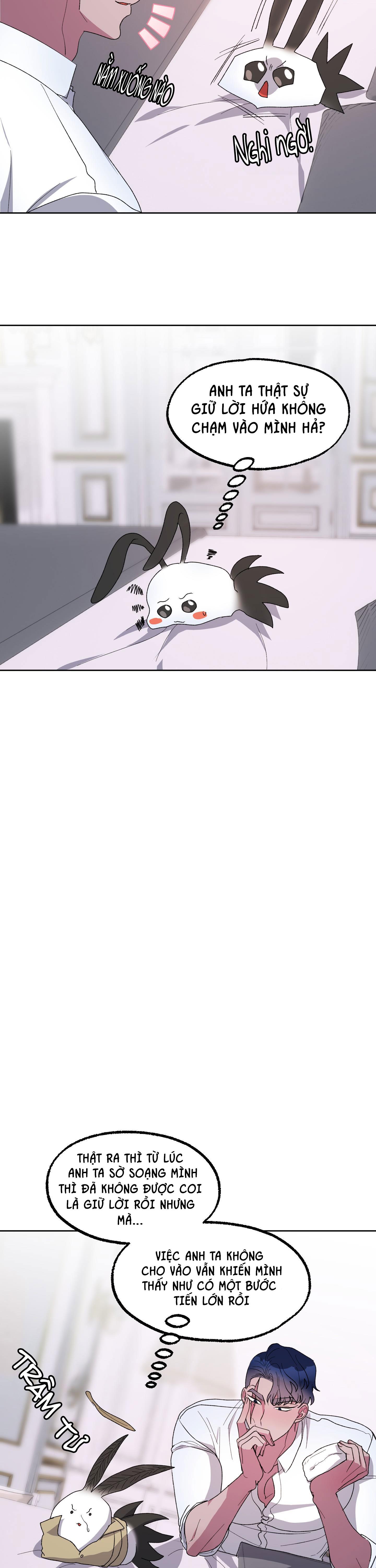 Đọc truyện CÁ MẬP VÀ CÔ DÂU THỎ - Chapter 19