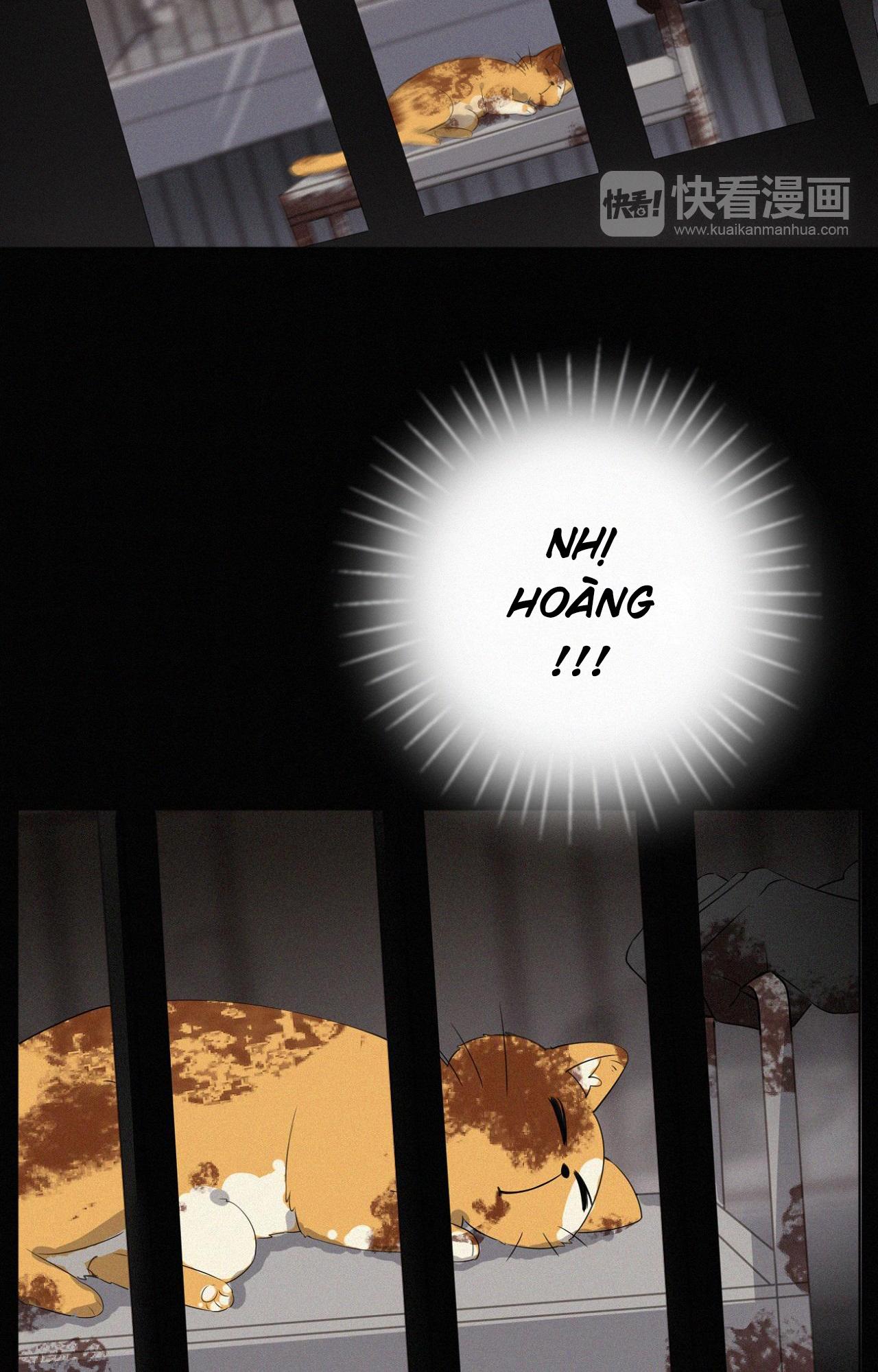 Đọc truyện Xã Hội Mồn Lèo - Chapter 35