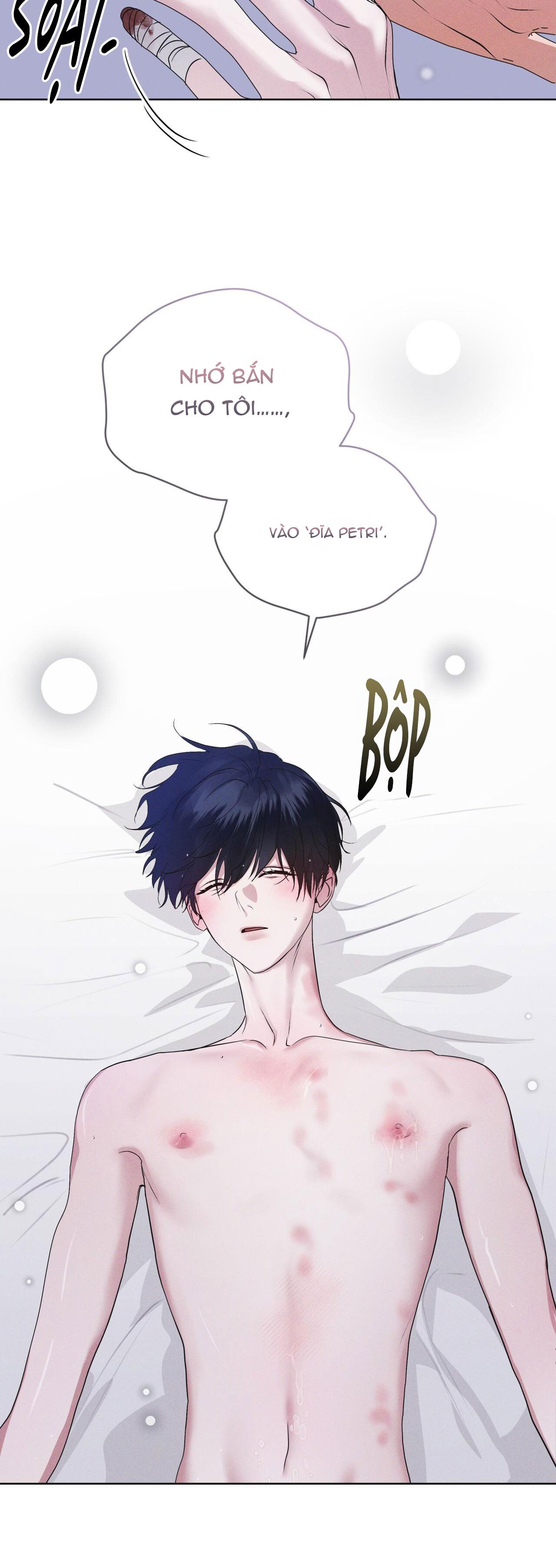 Đọc truyện THÀNH PHỐ CẦU VỒNG - Chapter 48