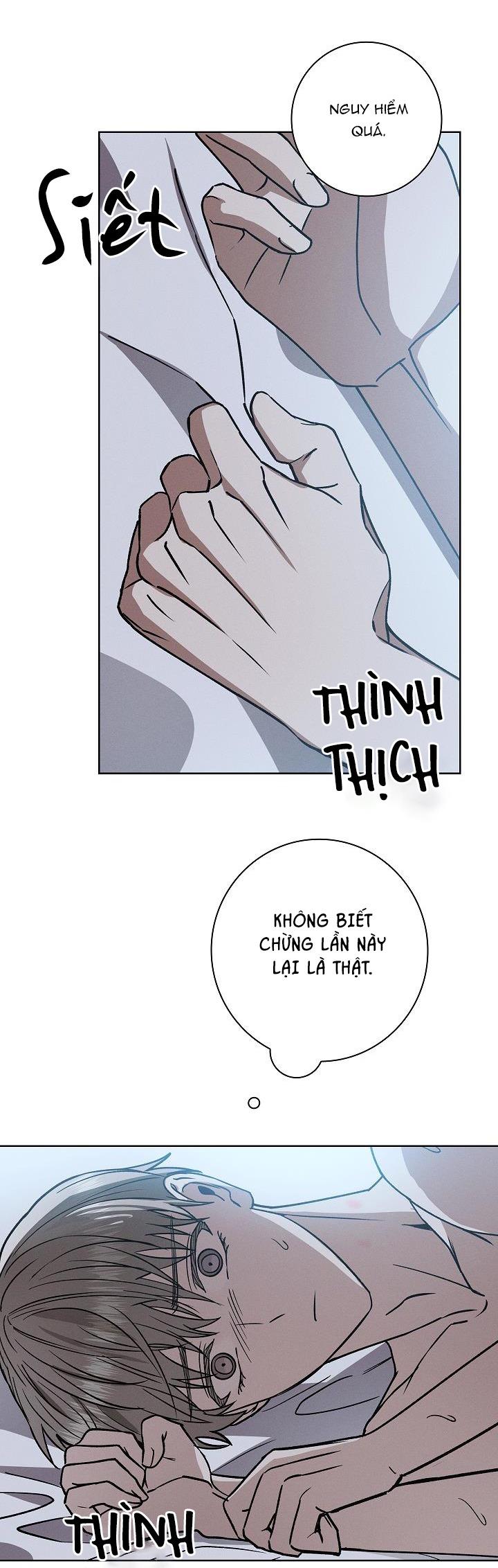 Đọc truyện (ABO) BE BE - Chapter 38